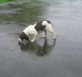 click for a larger view